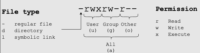 File Permissions